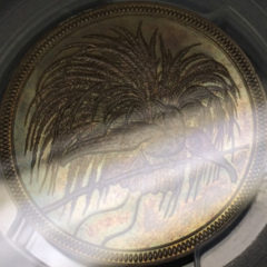 1894年ペニヒ貨